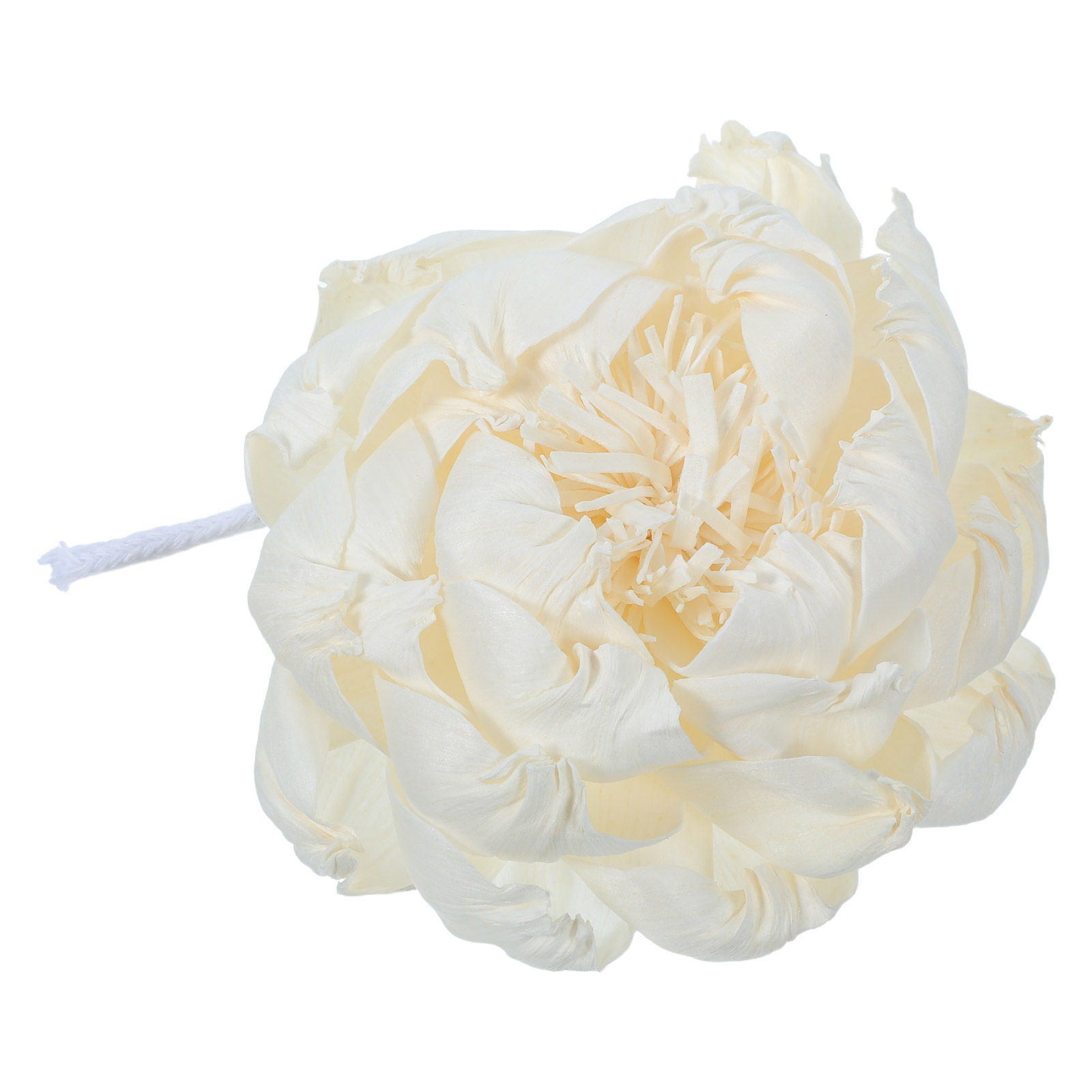 Pioenroos Geurverspreider 12Cm - Home Fragrance Essential Oils recensie en prijs